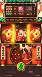 sp66 · Piggy Gold